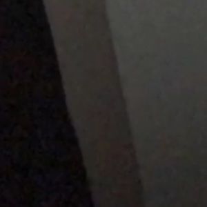 Meet your Posher, Shelby